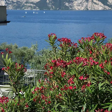 Vela Azzurra 2*