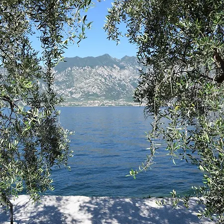 Hotel Vela Azzurra Navene